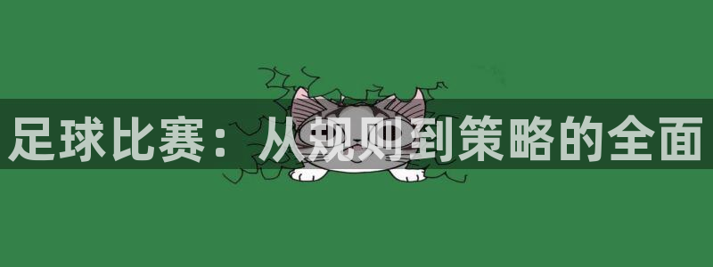  足球比赛：从规则到策略的全面