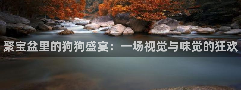  聚宝盆里的狗狗盛宴：一场视觉与味觉的狂欢