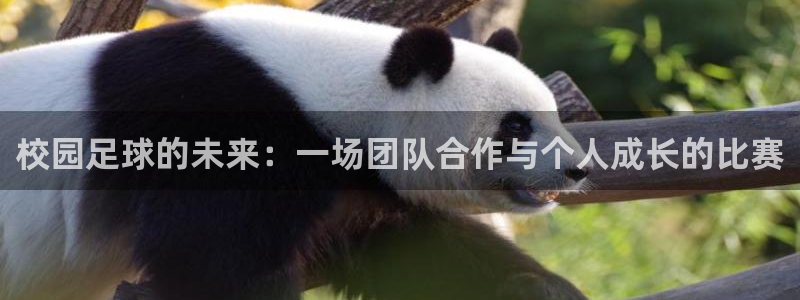  校园足球的未来：一场团队合作与个人成长的比赛