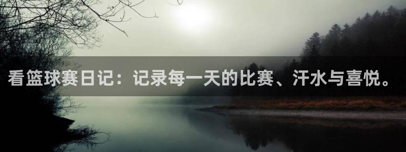  看篮球赛日记：记录每一天的比赛、汗水与喜悦。
