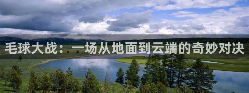  vSport体育在线登录平台：毛球大战：一场从地面到云端的奇