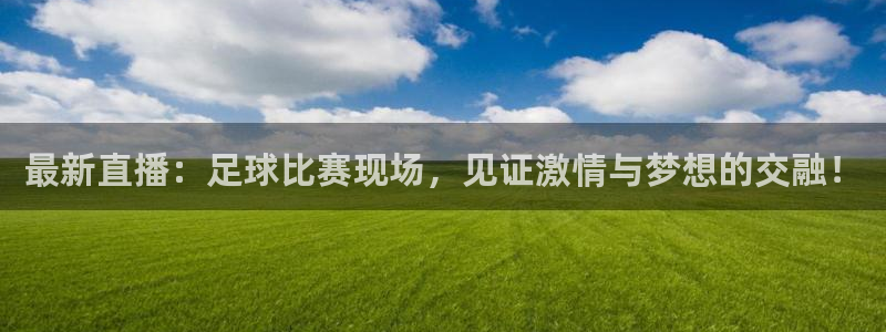 VSport胜利因您更精彩阿根廷：最新直播：足球比赛现场，见
