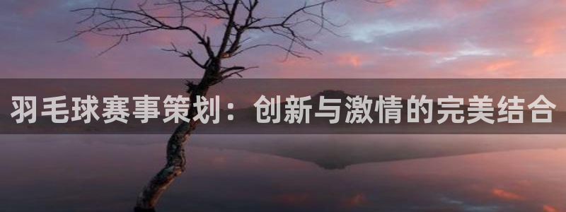  vsports阿根廷最新消息：羽毛球赛事策划：创新与激情的完