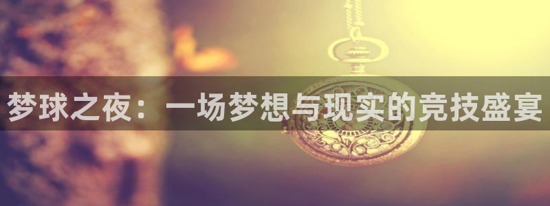 vsport体育官网：梦球之夜：一场梦想与现实的竞技盛宴