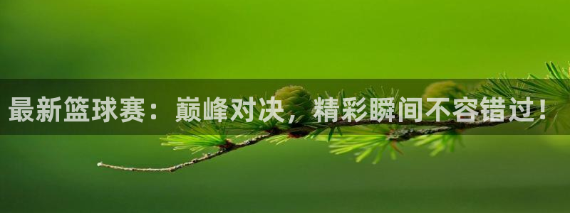  vSport体育在线登录平台：最新篮球赛：巅峰对决，精彩瞬间