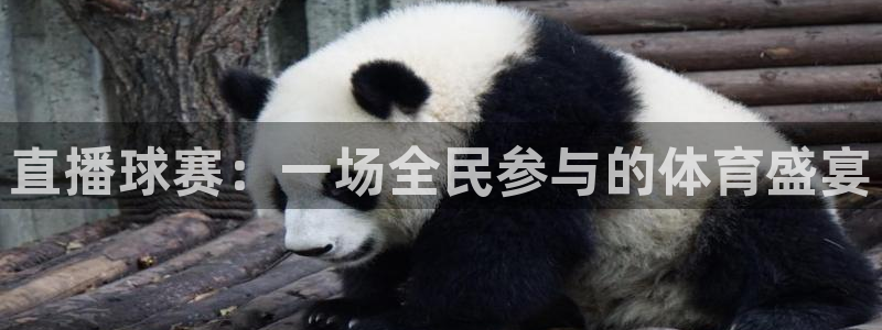  VSport胜利因你更精彩：直播球赛：一场全民参与的体育盛宴