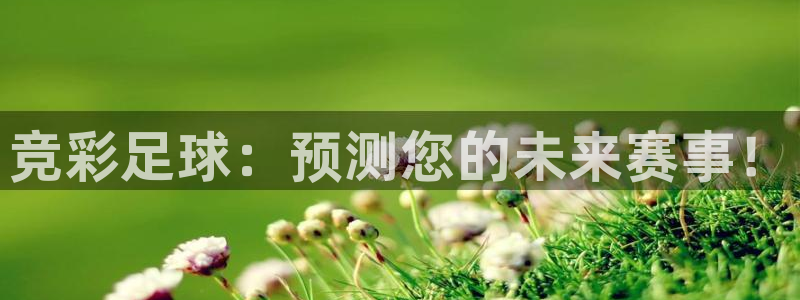 vsport体育在线：竞彩足球：预测您的未来赛事！