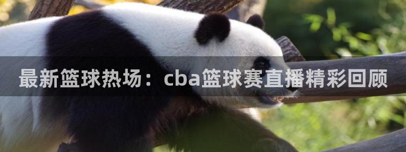  vsport体育最新消息：最新篮球热场：cba篮球赛直播精彩